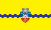 Arad_Flag